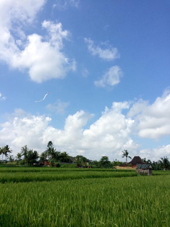 Rumah Semanggi Ubud Exterior foto